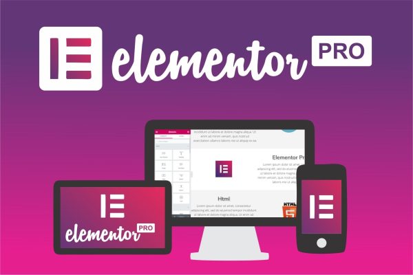 Elementor PRO WordPress Page Builder + Pro Templates - Image 3