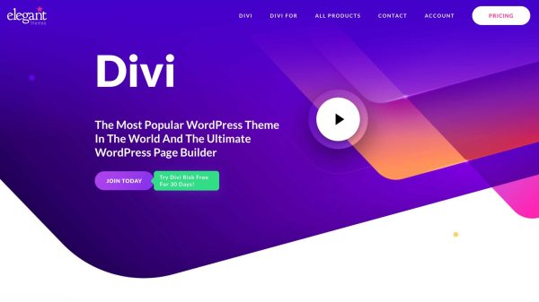 Divi Theme With Lifetime Key - Image 4